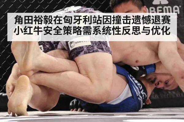 角田裕毅在匈牙利站因撞击遗憾退赛小红牛安全策略需系统性反思与优化